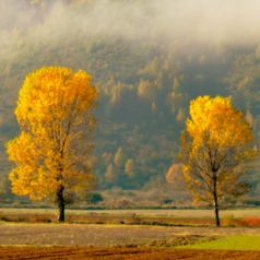 Appunti d’autunno